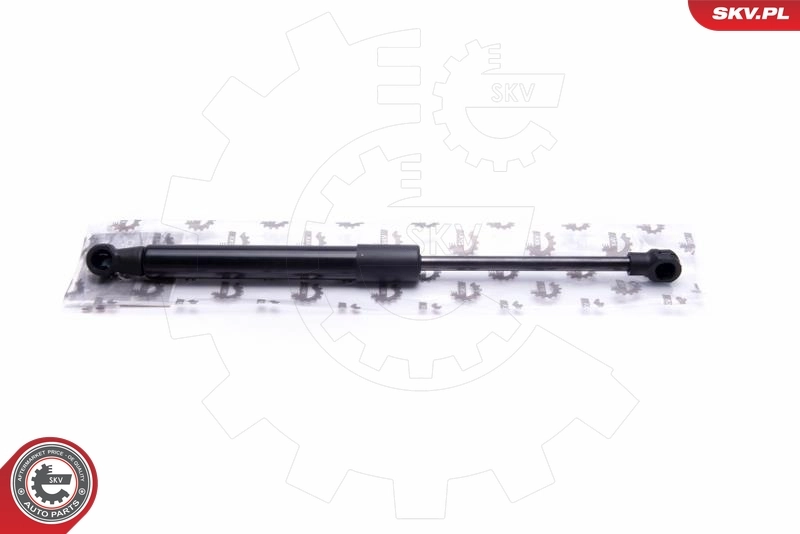 Gas Spring, bonnet